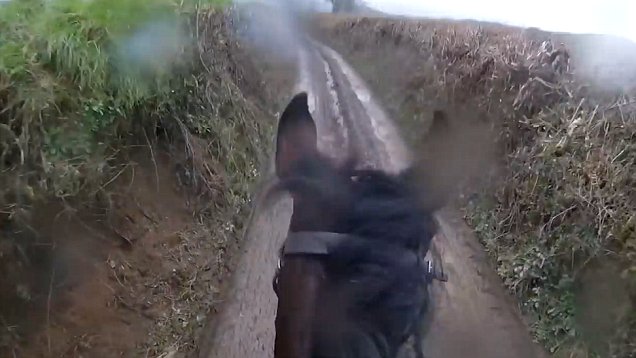 Retired racehorse Shamrock and rider Nick Bull