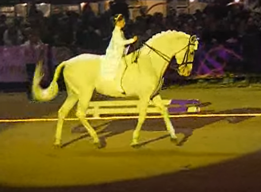 This image has an empty alt attribute; its file name is 744858848-1024x754.png