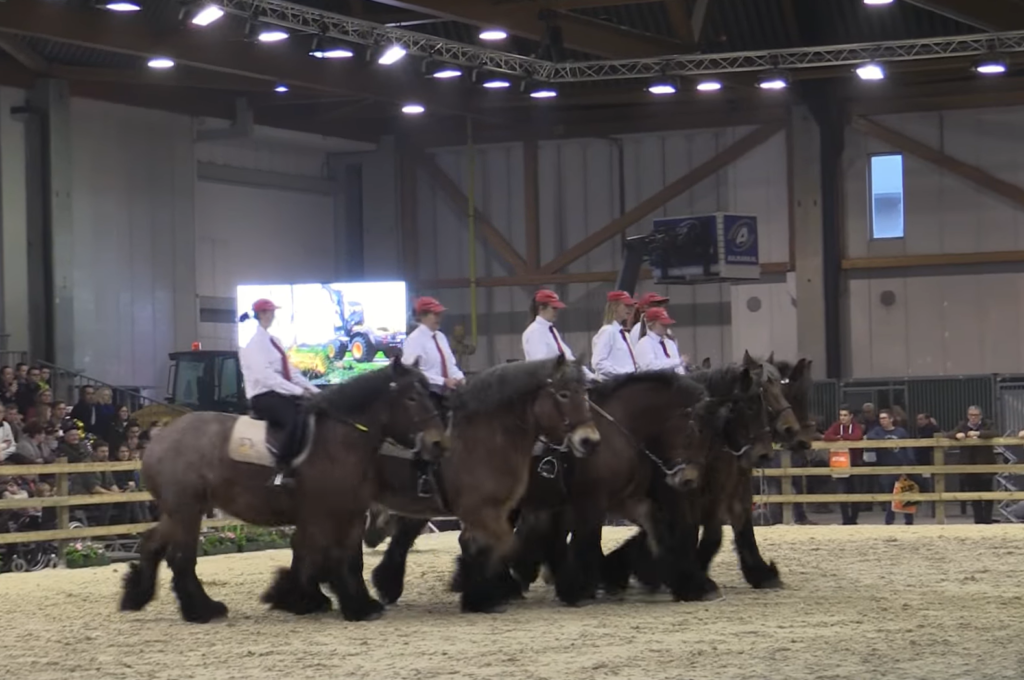 This image has an empty alt attribute; its file name is 74595959-1024x680.png