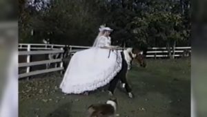 Bride and horse wedding celebration