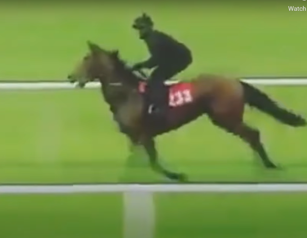 This image has an empty alt attribute; its file name is 9595959595-1024x793.png