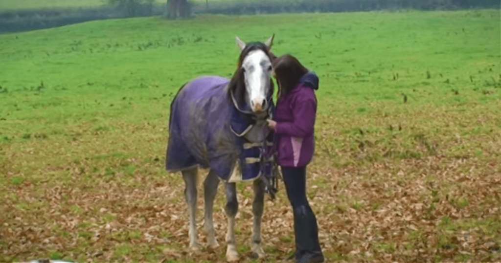 This image has an empty alt attribute; its file name is Horse-owner-returns-home-after-3-weeks3-1024x538.webp