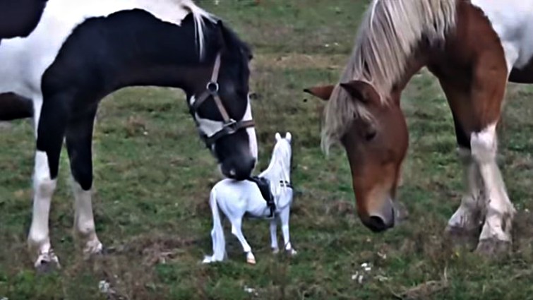 Horse reacting to toy horse prank