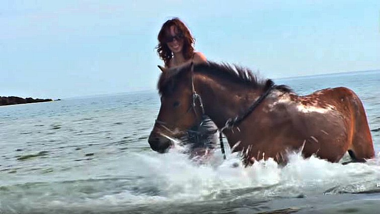 Skyrian horses in natural habitat