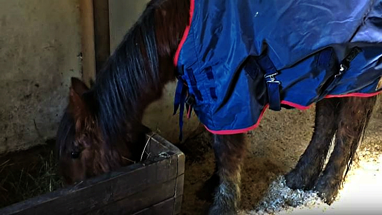 Craig's recovery progress