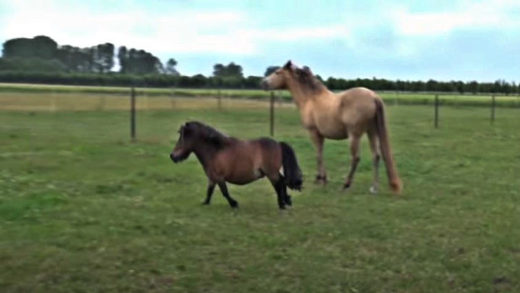 This image has an empty alt attribute; its file name is alih3.jpg