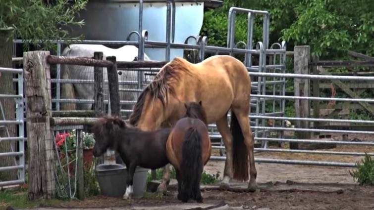 This image has an empty alt attribute; its file name is alih8.jpg