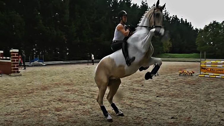 Alycia Burton training horse