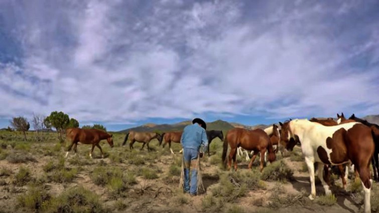 This image has an empty alt attribute; its file name is amph7.jpg