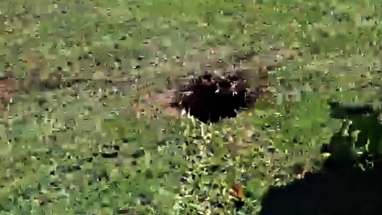 Farmer digging rescue hole