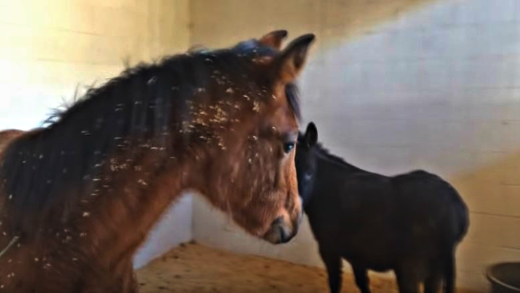 Angel and Little Dee bonding together