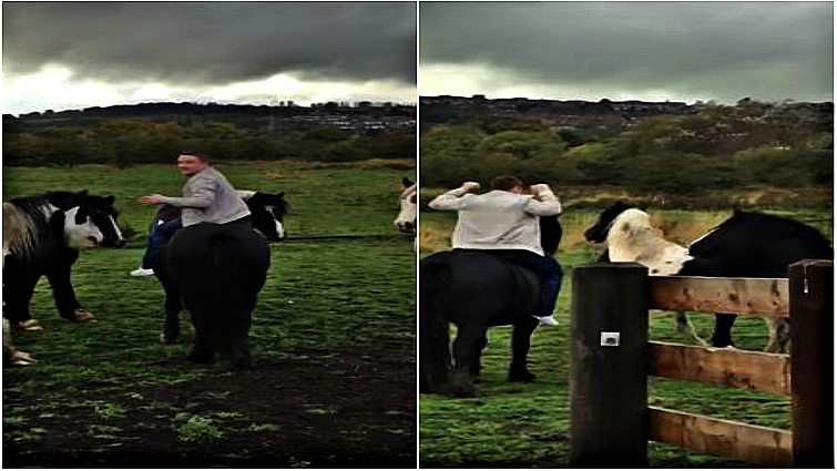 Horse reacting to overconfident rider