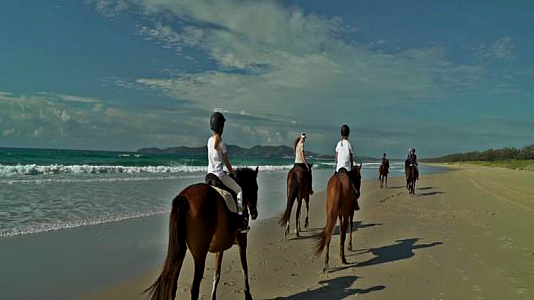 Horse riding school in Sydney