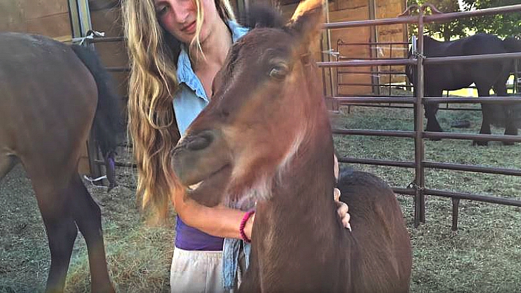 Horse smiling while being cuddled by owner