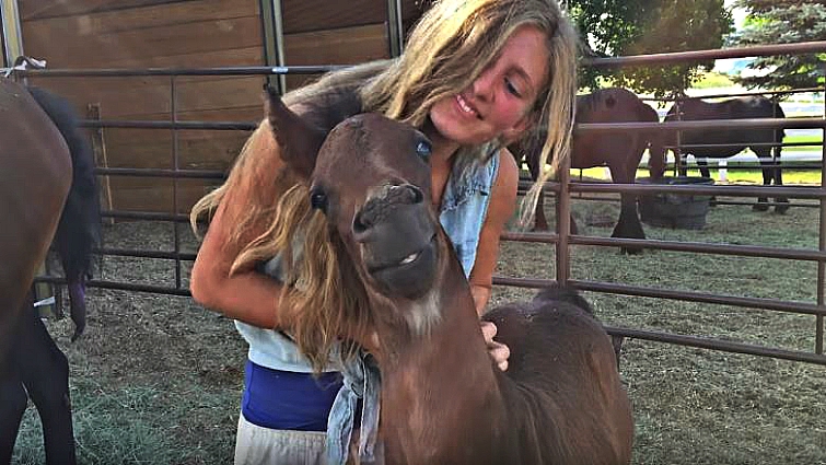Close-up of happy horse expressing gratitude
