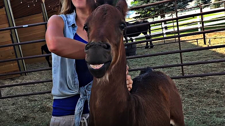 Owner and horse sharing a tender moment
