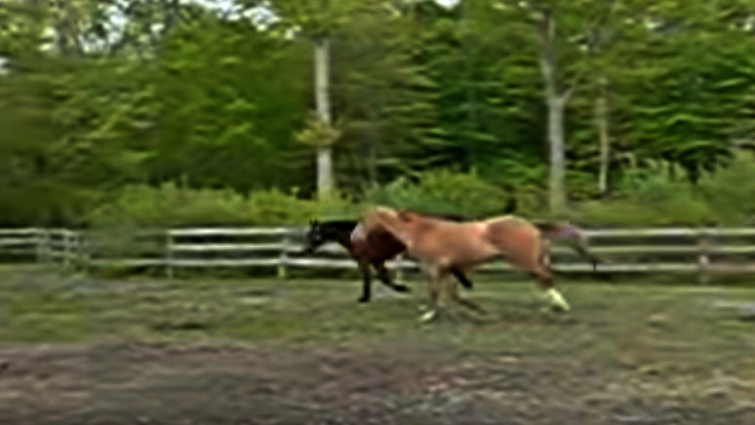 Roxie and Quinn together after reunion