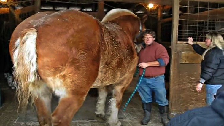 This image has an empty alt attribute; its file name is bibe4.jpg