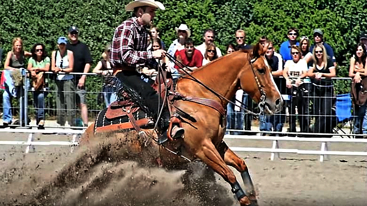 Close-up of bit pressure on horse's mouth