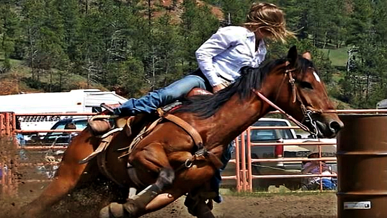 Alternative bitless riding methods