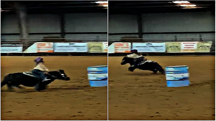 This image has an empty alt attribute; its file name is bobr2.jpg