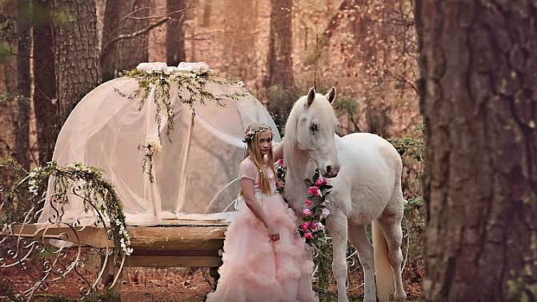 Young girl posing with horse in princess outfit
