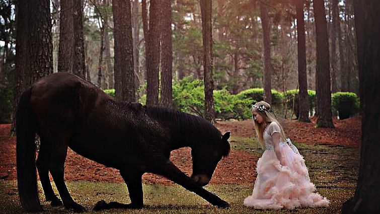 Horse-themed fairytale photoshoot backdrop