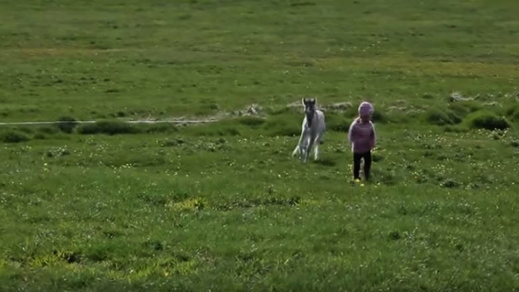 Rescued foal Brogi with young girl