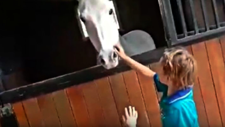 Sebastian meeting Tom Boy the pony