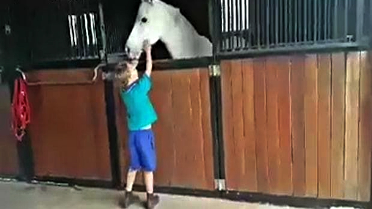Young boy with white Welsh mountain pony