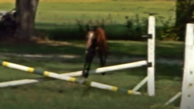 This image has an empty alt attribute; its file name is btju5.jpg