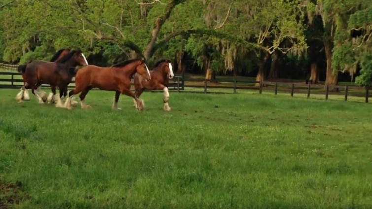 This image has an empty alt attribute; its file name is budc5.jpg