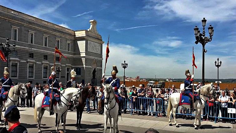 Guard horse at Changing of the Guard ceremony