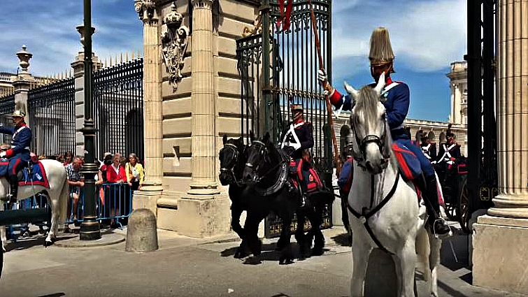 Ceremonial guard horses in formation