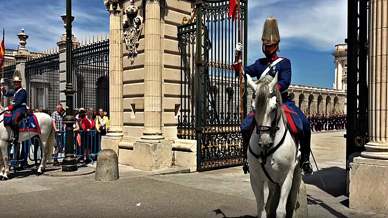 Gorgeous ceremonial cavalry horses