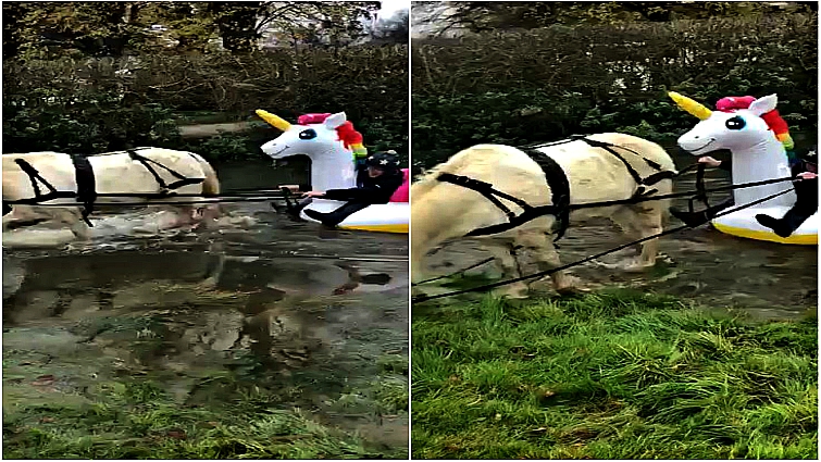 Cheeko pony with owner on inflatable unicorn