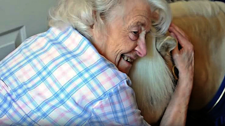 Mr. Cheddar the miniature horse visiting care home residents