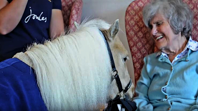 Care home residents smiling with miniature therapy horse
