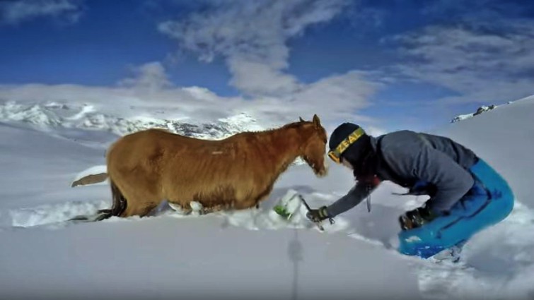 Leading the horse down the mountain