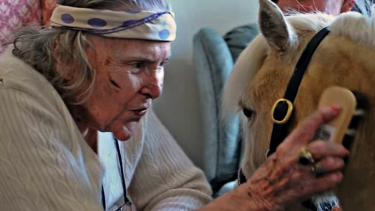 Mr. Cheddar the therapy pony at care home visit