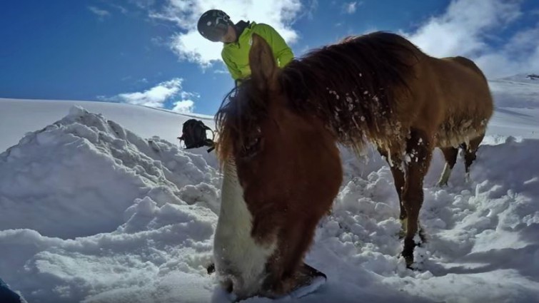 Moment of rescue success