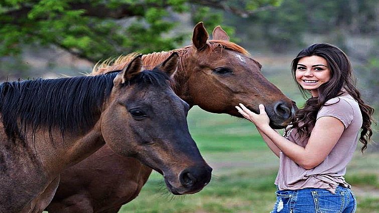 Horse receiving treats