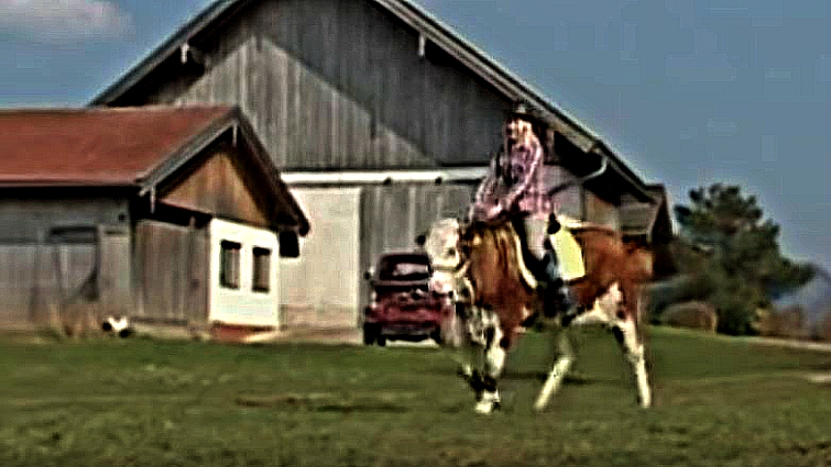 Luna the cow training with Regina Mayer