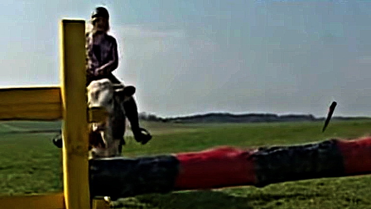 Close-up of Luna the cow jumping fence