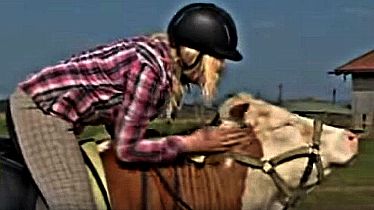 Regina Mayer training Luna the cow