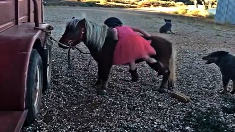 Young girl learning to mount pony