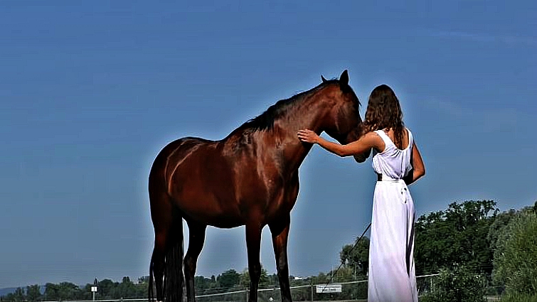 Horse and rider bond moment