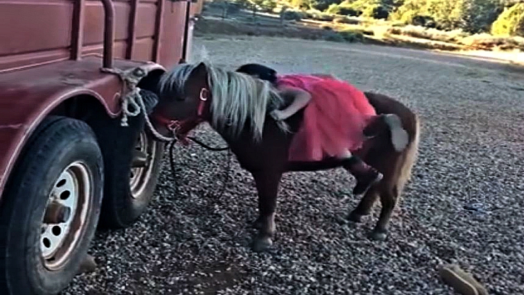 Young equestrian learning to ride