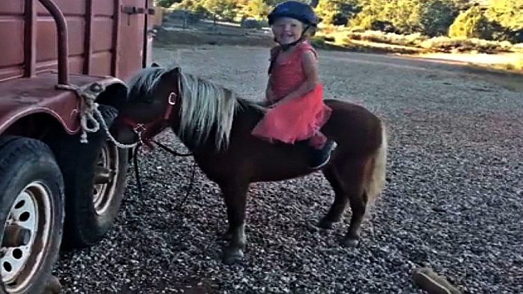 Child learning horsemanship skills