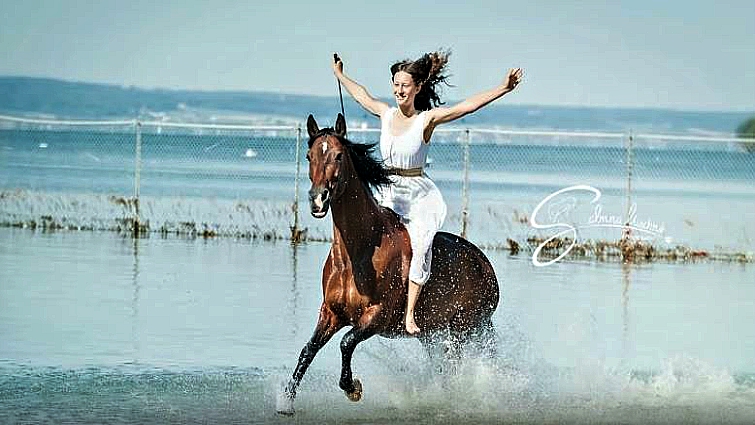 Rider and horse connection